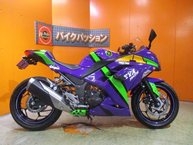 横から見てもこの通り状態状態グッド！ＥＶＡレーシングのイカヅチマフラーを当社でつけることも可能ですよ